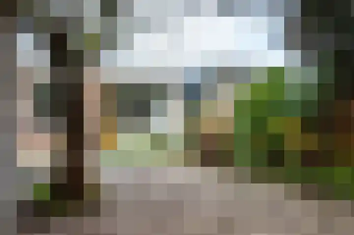 Malvert 2535 Nijmegen thumbnail 27
