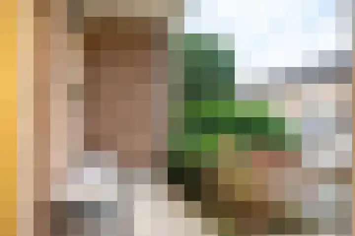Malvert 2535 Nijmegen thumbnail 29