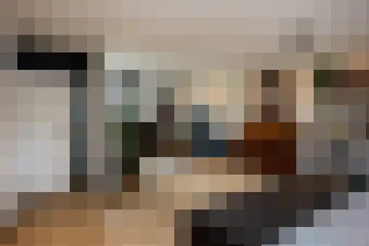 Malvert 2639 Nijmegen thumbnail 13