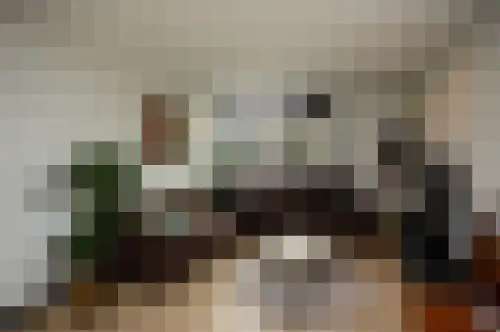 Malvert 2639 Nijmegen thumbnail 14