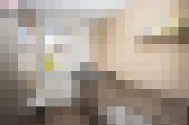 Malvert 2639 Nijmegen thumbnail 18