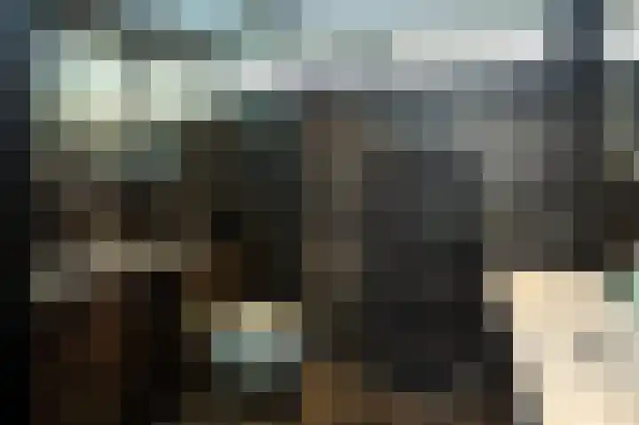 Malvert 2639 Nijmegen thumbnail 27
