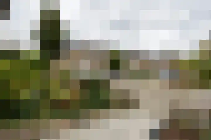 Malvert 2639 Nijmegen thumbnail 39