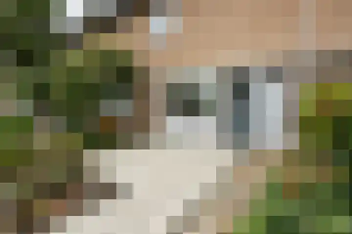 Malvert 2639 Nijmegen thumbnail 5