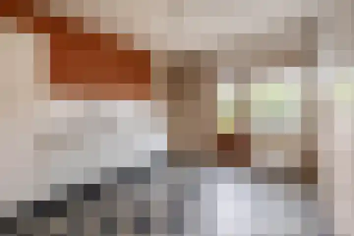 Malvert 3033 Nijmegen thumbnail 12