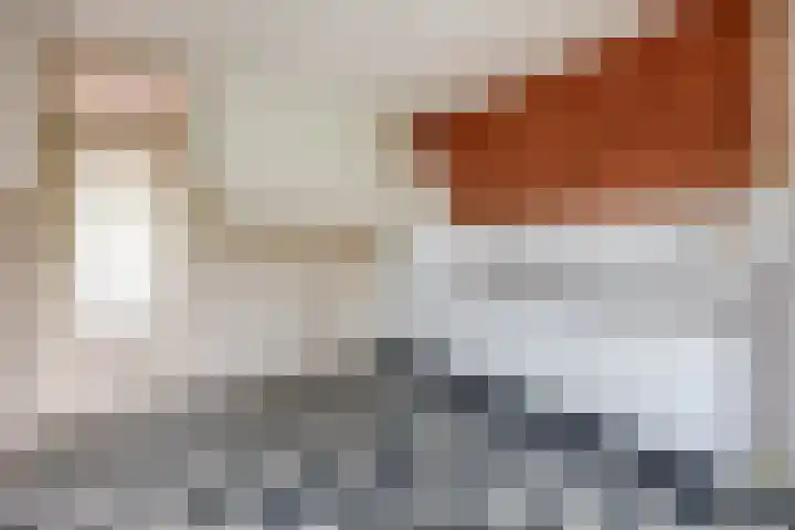 Malvert 3033 Nijmegen thumbnail 13