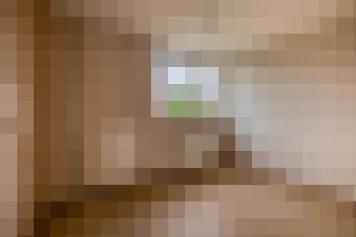 Malvert 3033 Nijmegen thumbnail 16