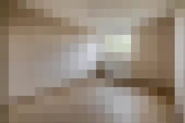 Malvert 3033 Nijmegen thumbnail 17