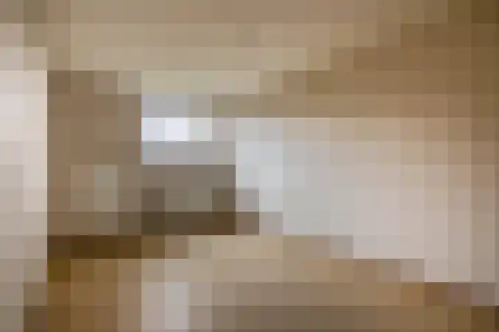 Malvert 3033 Nijmegen thumbnail 18