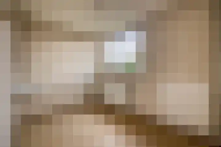 Malvert 3033 Nijmegen thumbnail 19