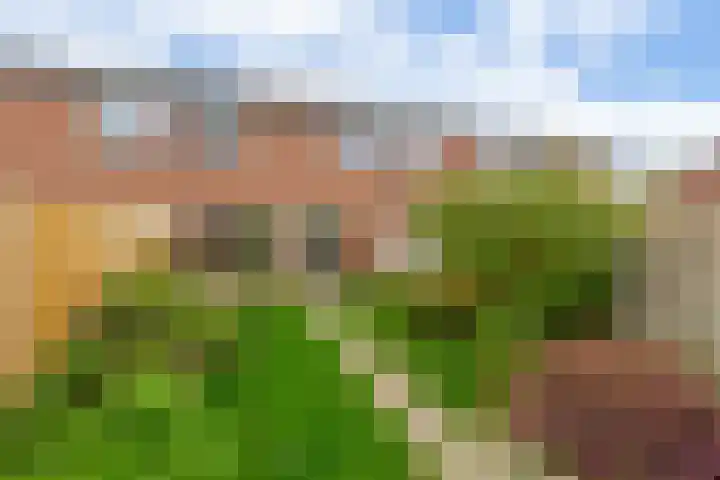 Malvert 3033 Nijmegen thumbnail 24