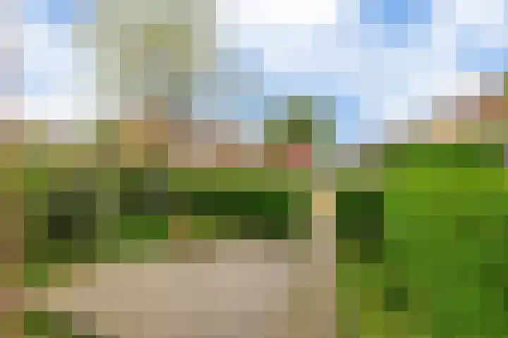 Malvert 3033 Nijmegen thumbnail 29