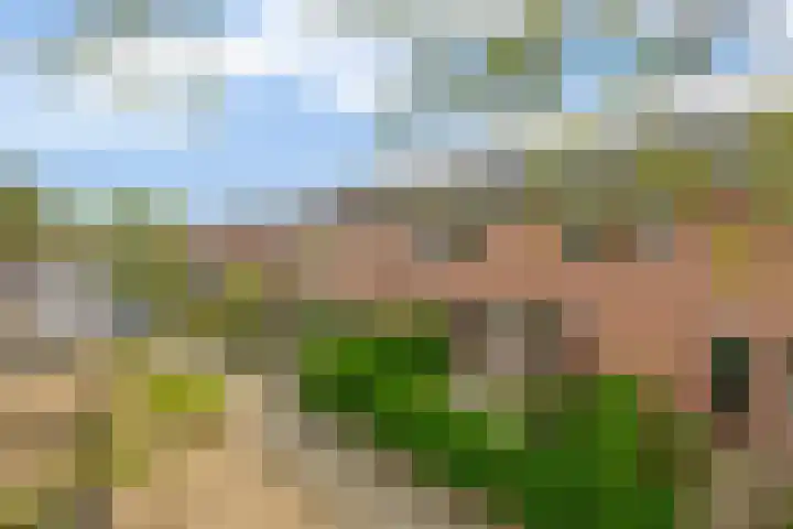 Malvert 3033 Nijmegen thumbnail 30