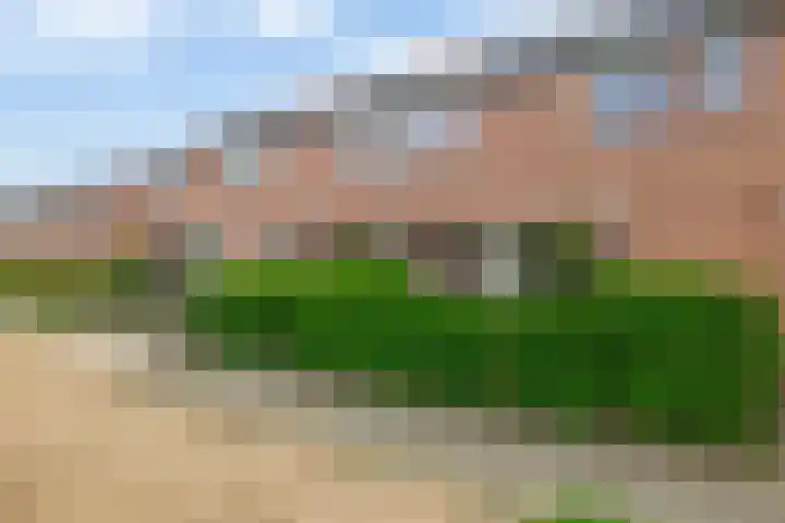 Malvert 3033 Nijmegen thumbnail 31