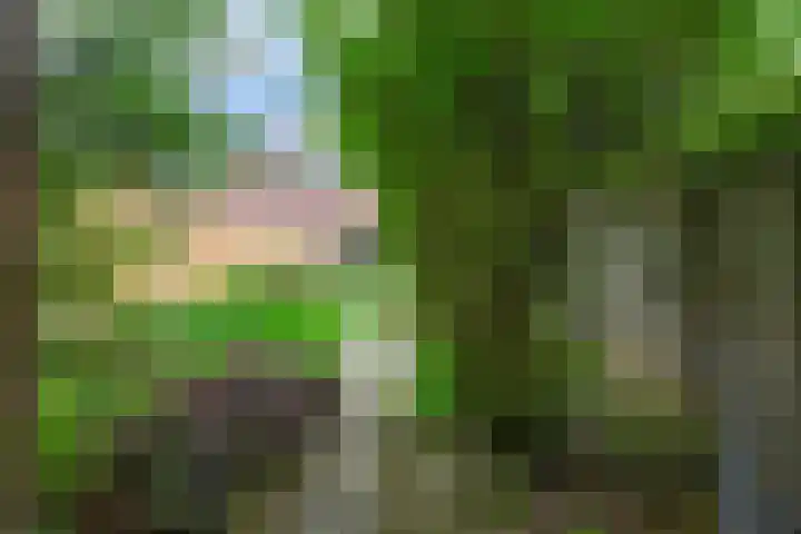 Malvert 3033 Nijmegen thumbnail 34