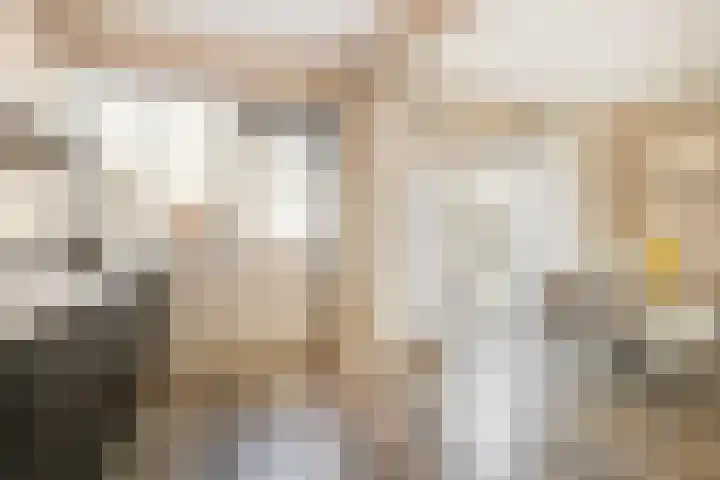 Malvert 3034 Nijmegen thumbnail 12