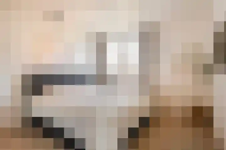 Malvert 3034 Nijmegen thumbnail 15
