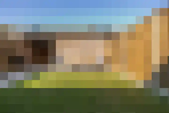 Malvert 3034 Nijmegen thumbnail 27