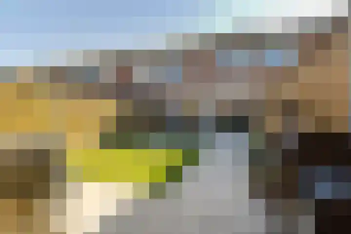 Malvert 3034 Nijmegen thumbnail 28