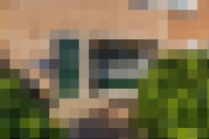 Malvert 3034 Nijmegen thumbnail 29