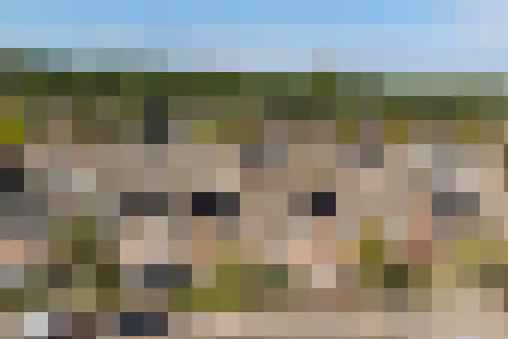 Malvert 3034 Nijmegen thumbnail 31