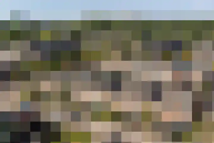 Malvert 3034 Nijmegen thumbnail 32