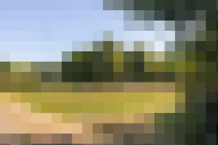 Malvert 3034 Nijmegen thumbnail 33