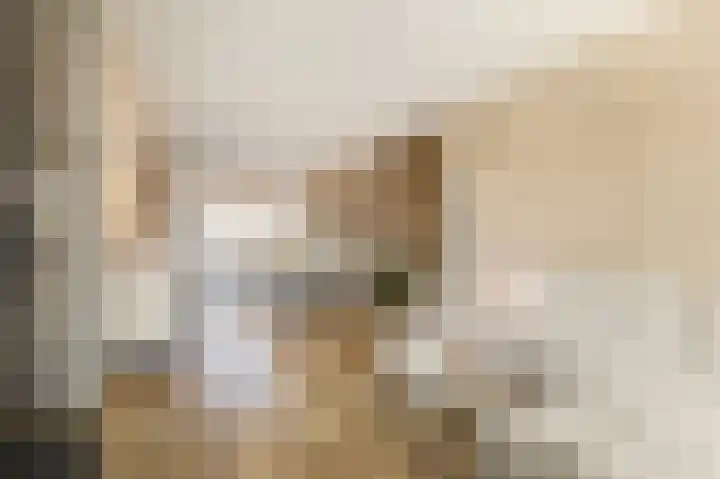 Malvert 3034 Nijmegen thumbnail 7