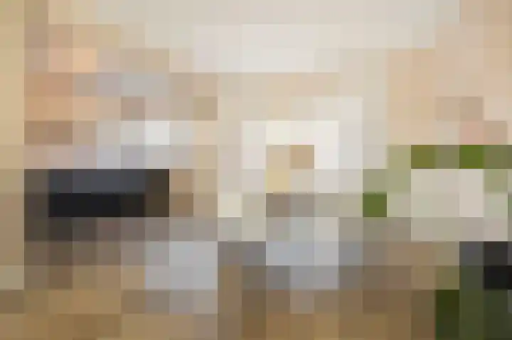 Malvert 3034 Nijmegen thumbnail 8