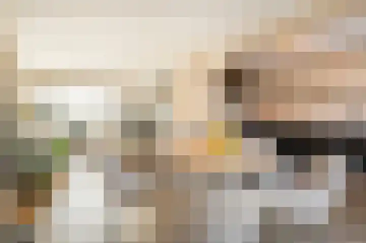 Malvert 3034 Nijmegen thumbnail 9