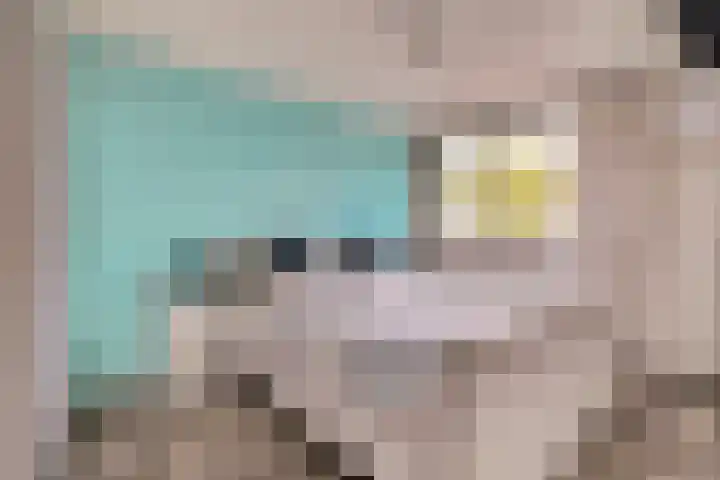 Malvert 3208 Nijmegen thumbnail 21