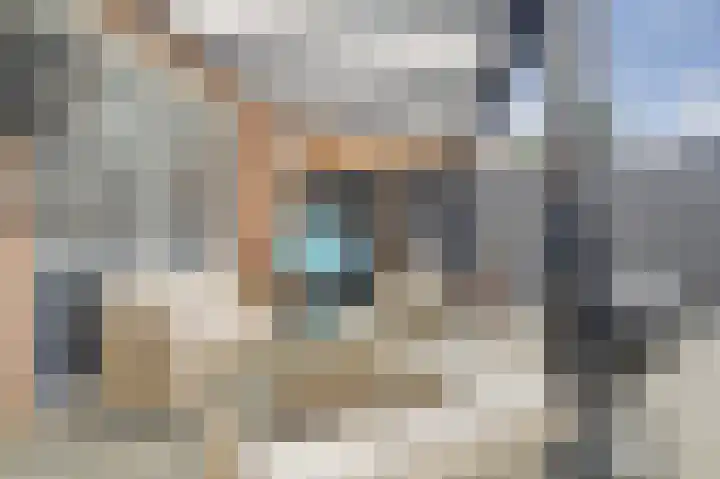 Malvert 3208 Nijmegen thumbnail 36