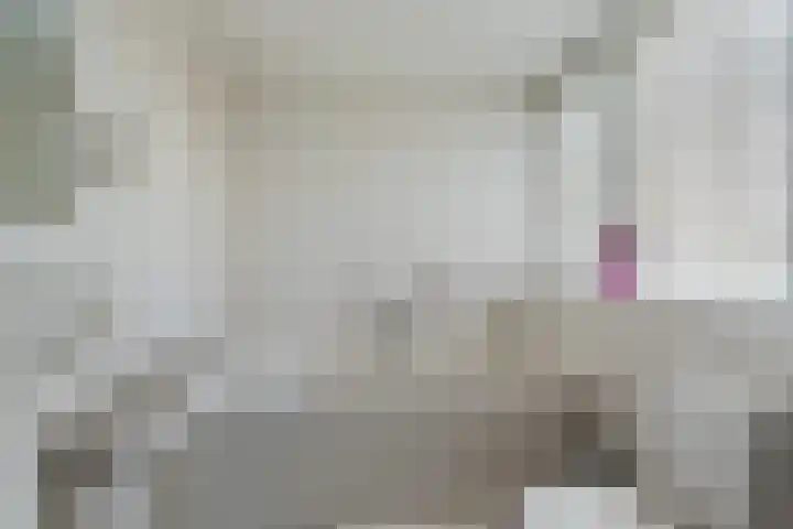 Malvert 3212 Nijmegen thumbnail 17