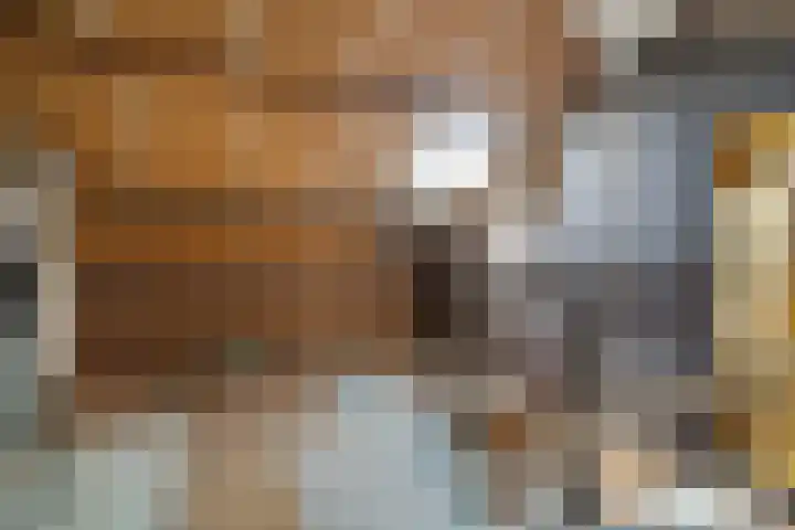 Malvert 3212 Nijmegen thumbnail 22