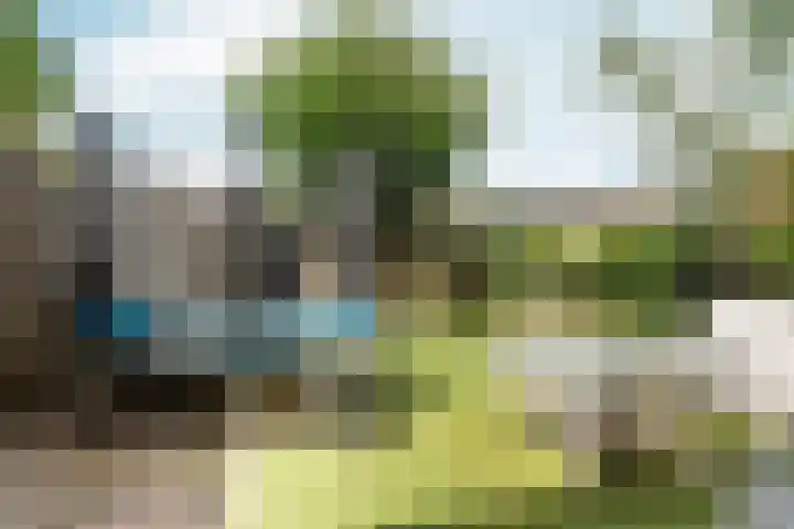 Malvert 3212 Nijmegen thumbnail 23