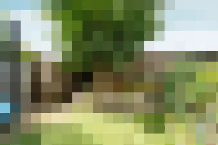 Malvert 3212 Nijmegen thumbnail 24