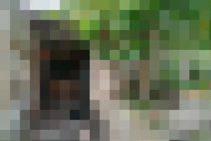 Malvert 3212 Nijmegen thumbnail 25