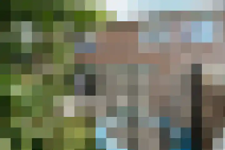 Malvert 3212 Nijmegen thumbnail 26