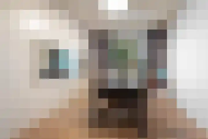 Malvert 3212 Nijmegen thumbnail 6