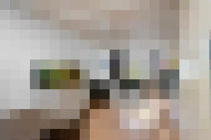 Malvert 3212 Nijmegen thumbnail 7