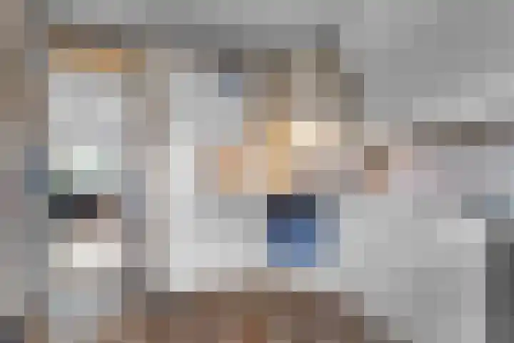 Malvert 3212 Nijmegen thumbnail 9
