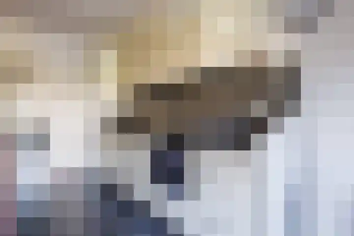 Malvert 5322 Nijmegen thumbnail 16