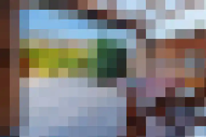 Malvert 5322 Nijmegen thumbnail 20