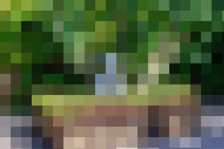 Malvert 5322 Nijmegen thumbnail 25