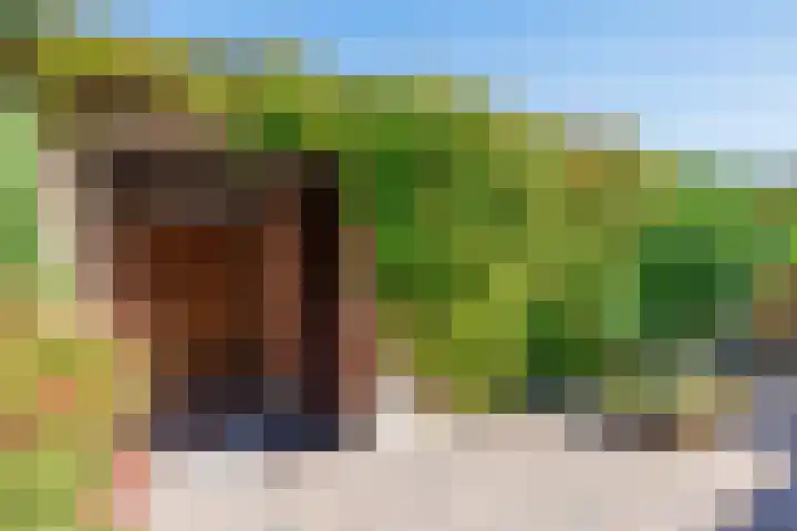 Malvert 5322 Nijmegen thumbnail 26