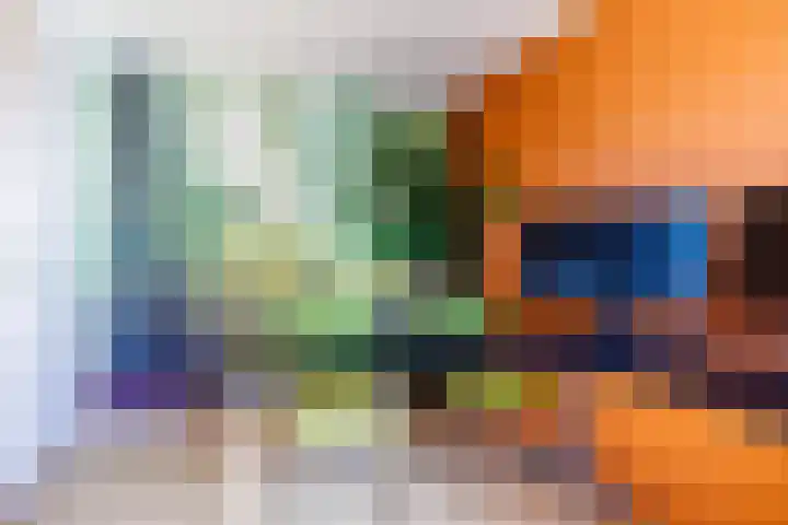 Malvert 5322 Nijmegen thumbnail 38