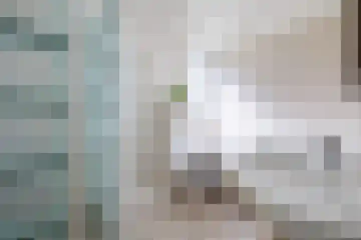 Malvert 5322 Nijmegen thumbnail 39