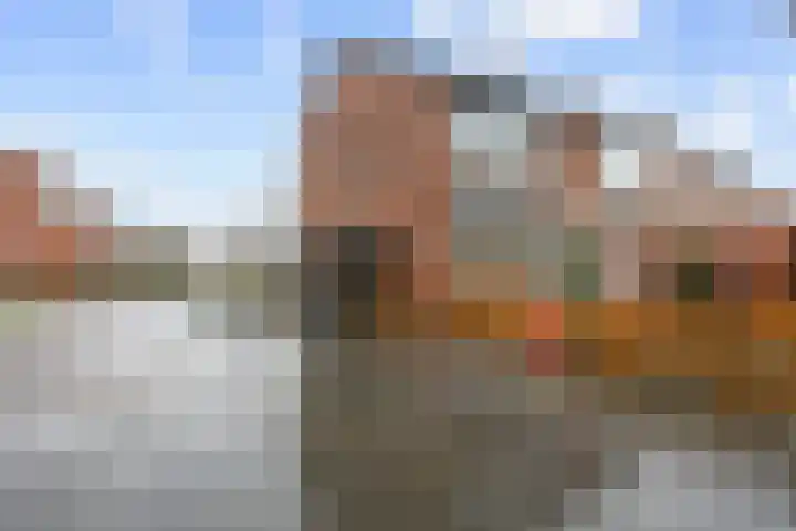 Malvert 5322 Nijmegen thumbnail 43