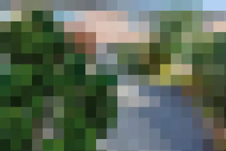 Malvert 5322 Nijmegen thumbnail 5