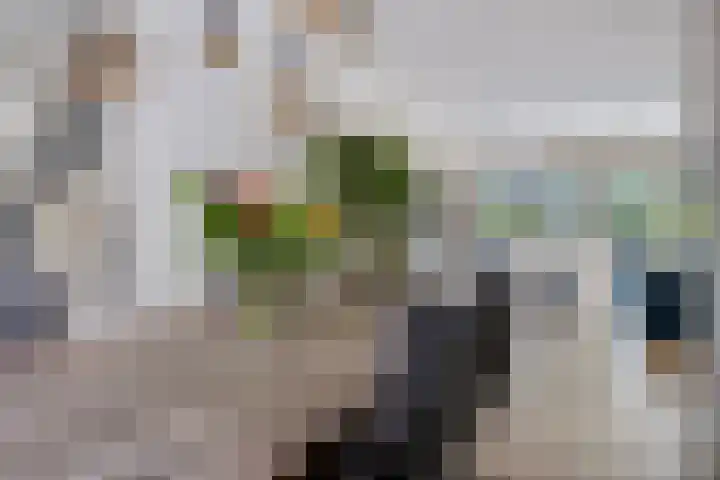 Malvert 5322 Nijmegen thumbnail 50